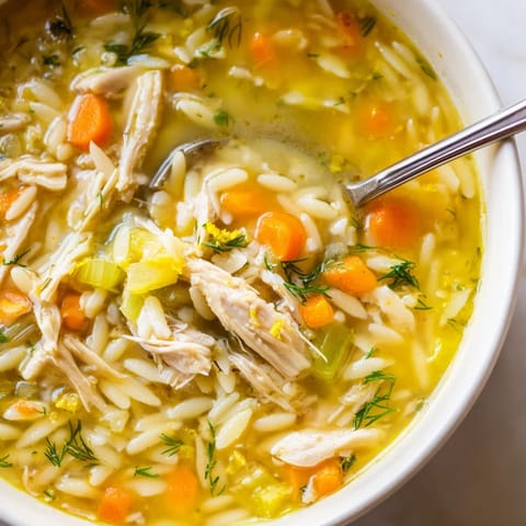 Hearty bowl of Chicken Lemon Orzo Soup, ladled hot from the pot with carrots, celery, and lemon zest.  
